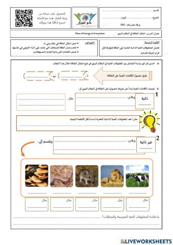 انتقال الطاقة في النظام البيئي