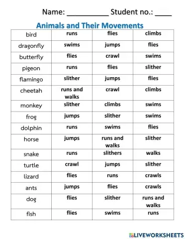 Animals and their movements