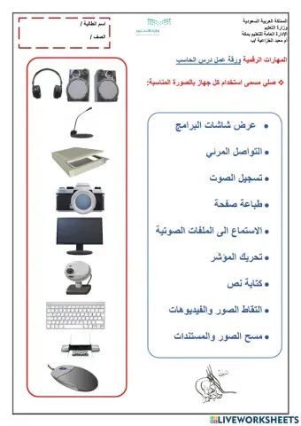 استخدامات الاجهزة الملحقة