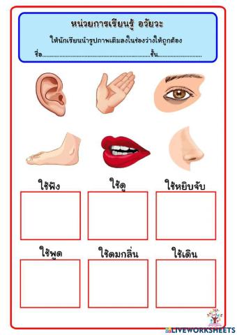 นงค์ลักษณ์ แก้วกุดัง