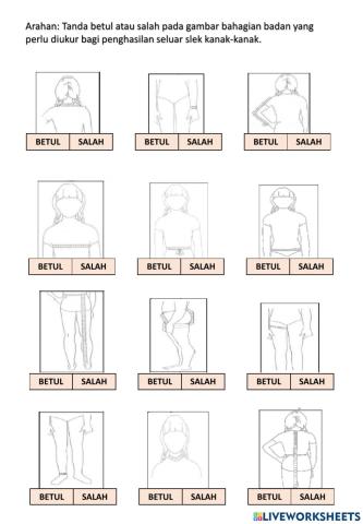 Bahagian ukur badan (slek)