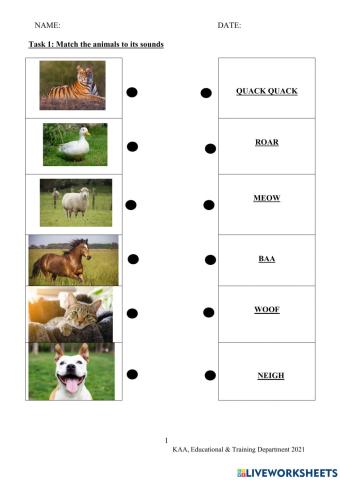 Sounds and Movements Made By Animals