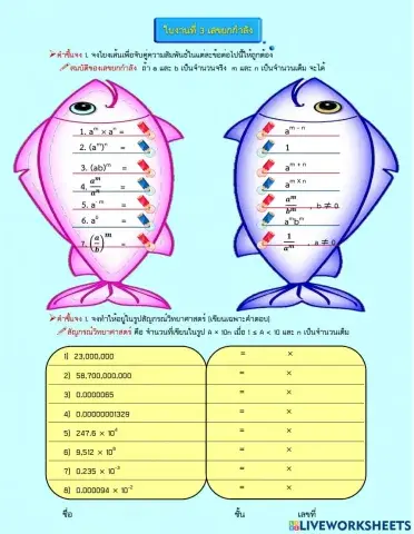 ใบงานที่ 3 เลขยกกำลัง