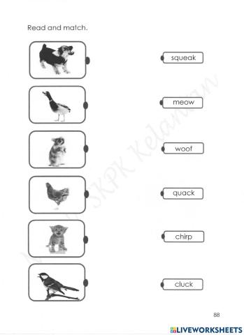 My Pet Pendidikan Khas (Learning Disability)