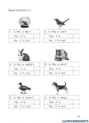 My Pet Pendidikan Khas (Learning Disability)