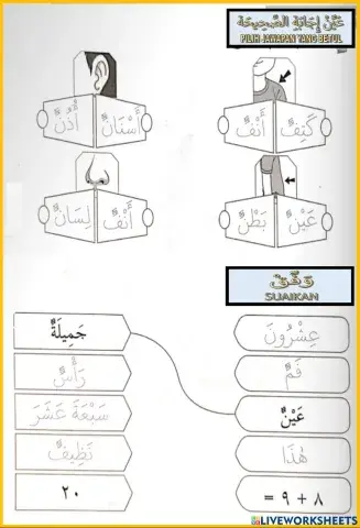 Ulangkaji Jismi salim