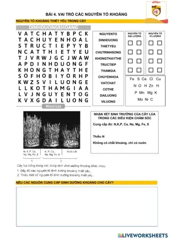 Bài 4, sinh 11. vai trò các nguyên tố khoáng