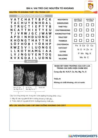 Bài 4, sinh 11. vai trò các nguyên tố khoáng