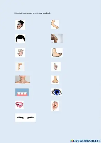 Parts of the Body Listening