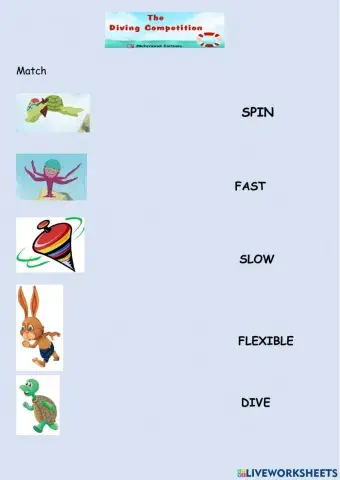 The diving competition