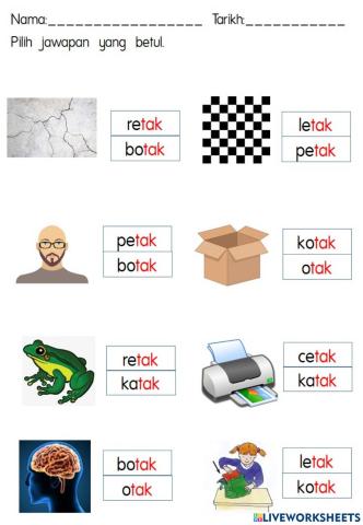 SUKU KATA KVKVK -tak-