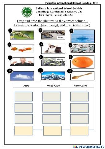 Living and non living things