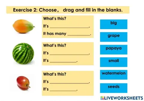 Unit 4: Lunch Time ( Fruits )