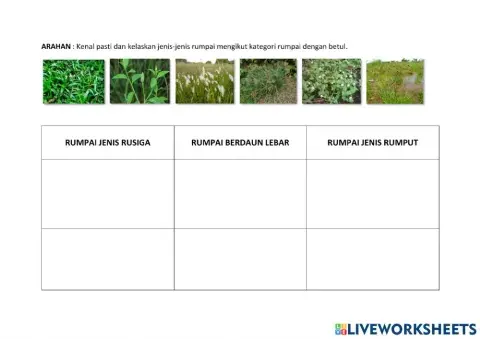 Mengenal jenis-jenis rumpai
