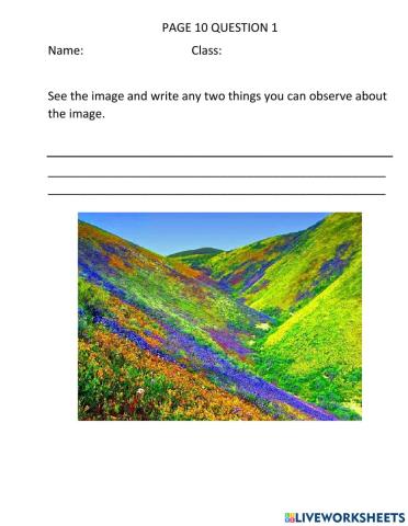 Day 2 page 10 Inspire Mcgraw hill grade 2