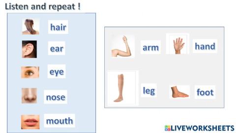 Connect plus kg1 term1 unit1  p5