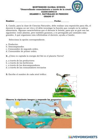 Examen 5ª