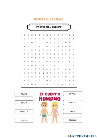 Las partes del cuerpo humano