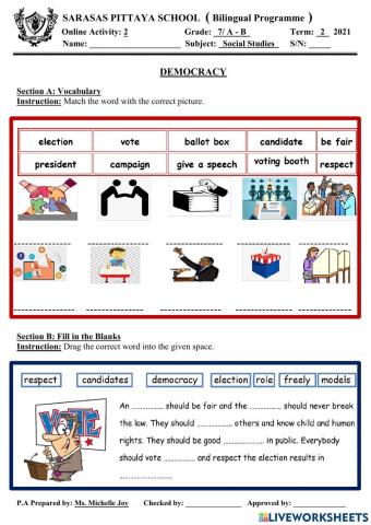 Democracy- online activity