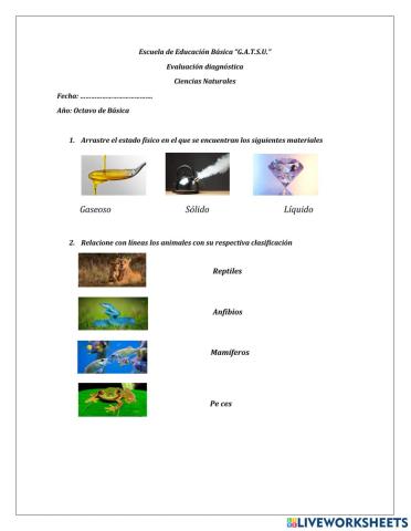 EVALUACIÓN DIAGNÓSTICA CCNN 8vo