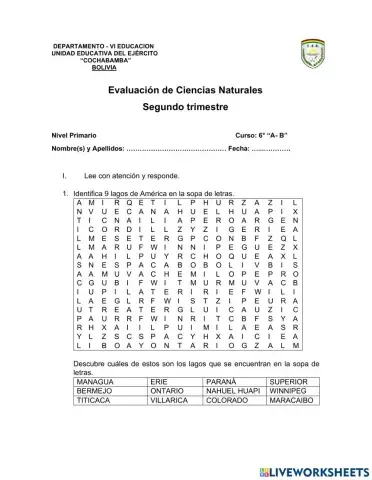 Evaluación de Cs. Naturales -  Sopa de letras