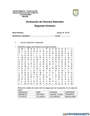 Evaluación de Cs. Naturales -  Sopa de letras