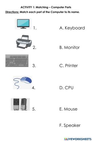 Basic Parts of the Computer