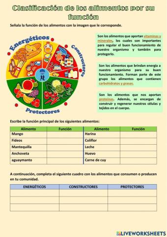Clasificación de alimentos