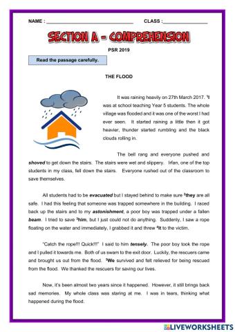 Section A Comprehension PSR 2019
