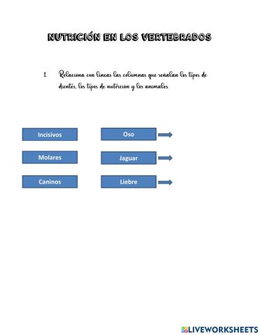 Nutrición en los vertebreados