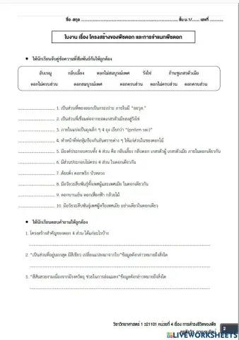 ใบงานเรื่องโครงสร้างดอก