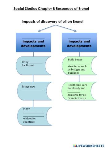 Impacts of oil discovery in Brunei