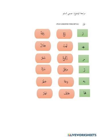 Ulangkaji anggota badan