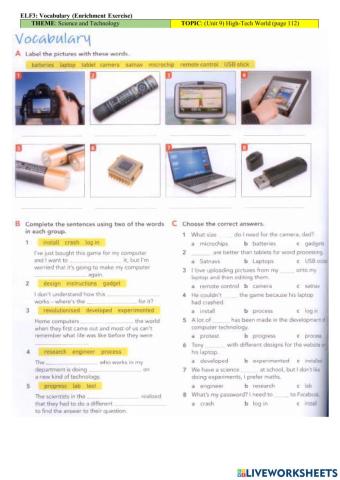 ELF3: Vocabulary (Enrichment Exercise)