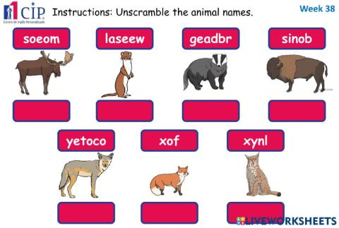 Kids Forest Animals Week 38