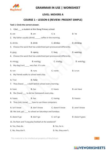 MaySchool - Grammar in Use - MA level - Lesson 6