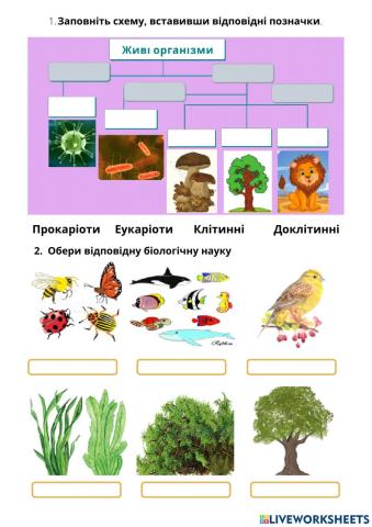Живі організми