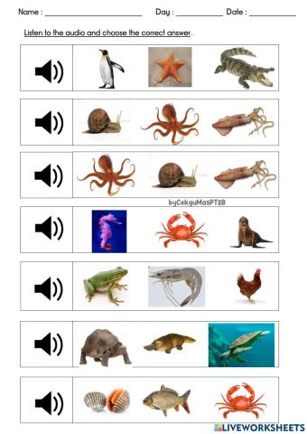 Listen and choose the correct answers