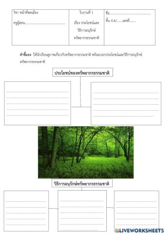 ใบงาน ป่าไม้