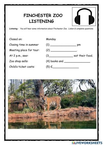 Fincester Zoo KET Listening