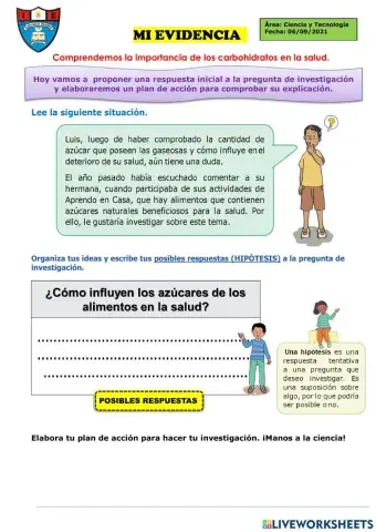 Comprendemos la importancia de los carbohidratos en la salud