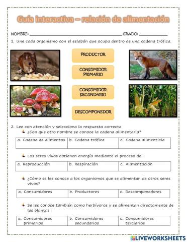 Relación de alimentación