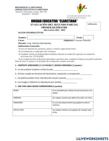 Evaluacion II Parcial