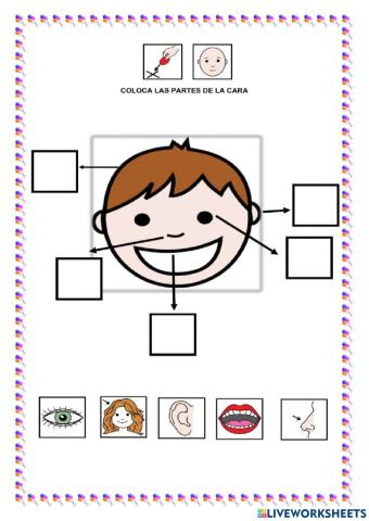 Coloca las partes de la cara