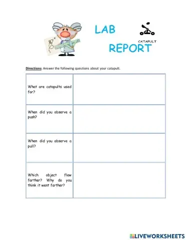 Catapult lab report