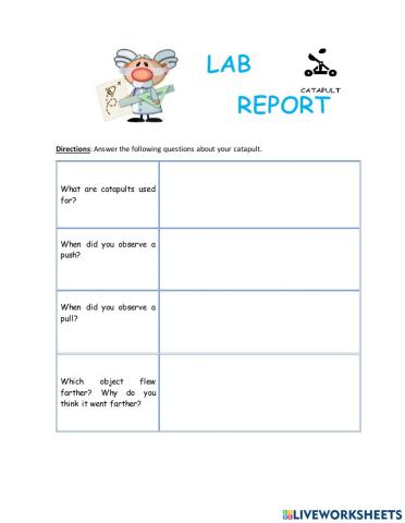 Catapult lab report