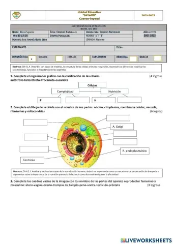 Prueba de Diagnóstico de Ciencias Naturales 9