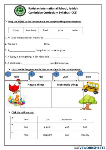 Living and non living things