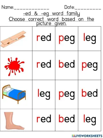 -ed & -eg word family (Choose correct word based on the picture given)-4