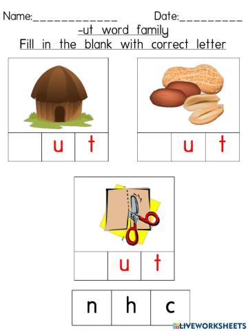 -ut word family (Fill in the blank with correct letter)-2